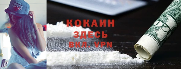 гашик Инсар