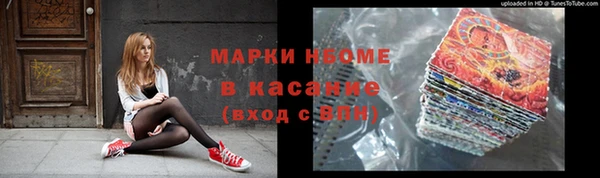 гашик Инсар