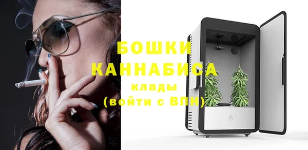 гашик Инсар