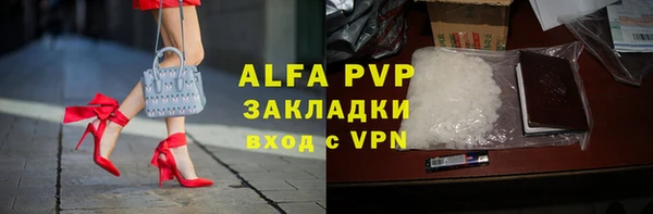 гашик Инсар