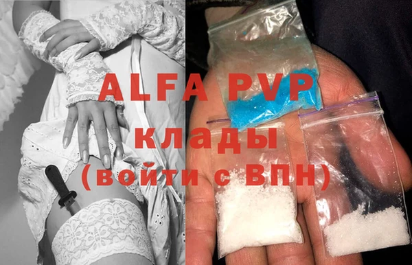 гашик Инсар