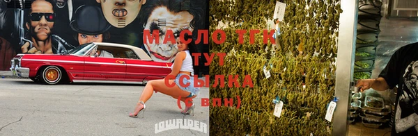 гашик Инсар