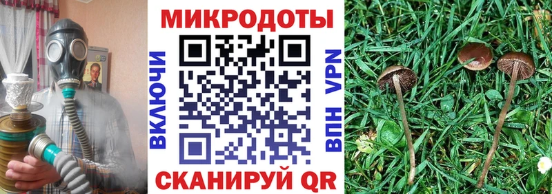 Псилоцибиновые грибы GOLDEN TEACHER  Купить где  Электроугли 